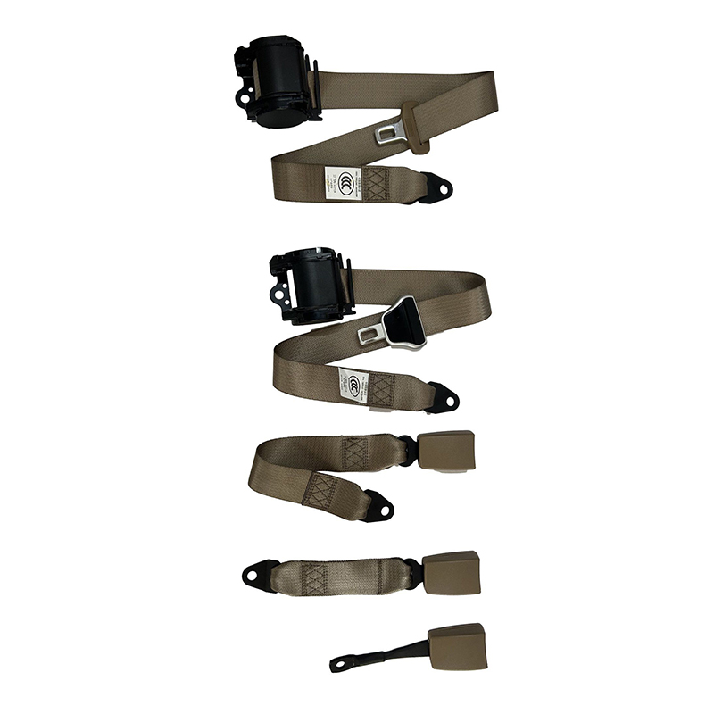 في مواجهة ذكاء المركبات، ما هي التخطيطات التطلعية التي يتعهد بها مصنعو أحزمة الأمان؟